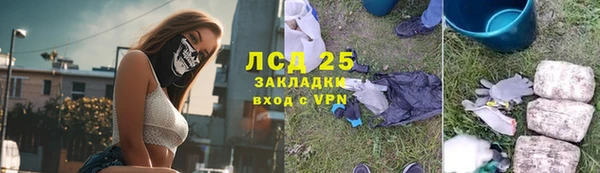 ГАЛЛЮЦИНОГЕННЫЕ ГРИБЫ Инсар