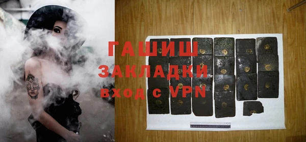 дживик Инта