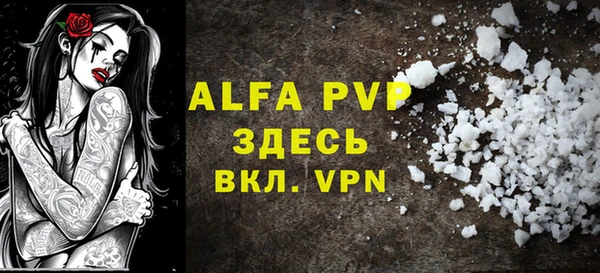 дживик Инта