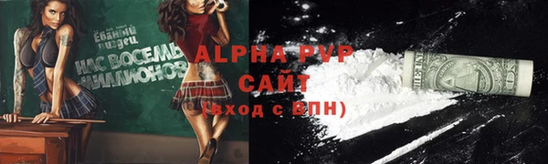 ГАЛЛЮЦИНОГЕННЫЕ ГРИБЫ Инсар