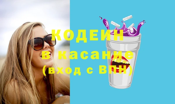 ГАЛЛЮЦИНОГЕННЫЕ ГРИБЫ Инсар