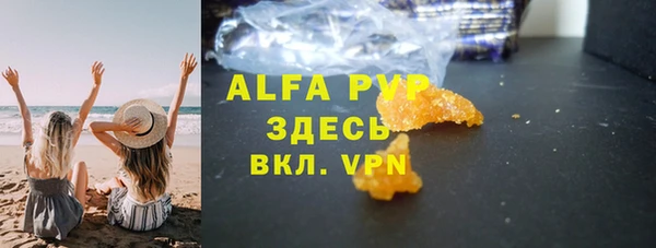 ГАЛЛЮЦИНОГЕННЫЕ ГРИБЫ Инсар