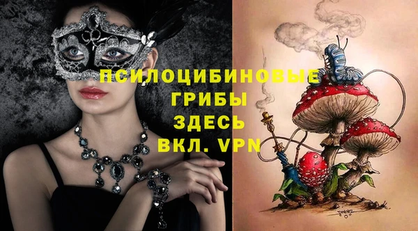 круглые Иннополис