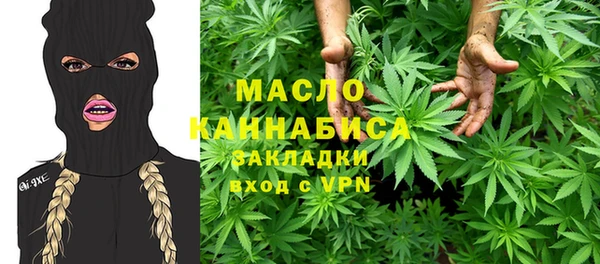 ГАЛЛЮЦИНОГЕННЫЕ ГРИБЫ Инсар