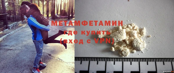 ГАЛЛЮЦИНОГЕННЫЕ ГРИБЫ Инсар
