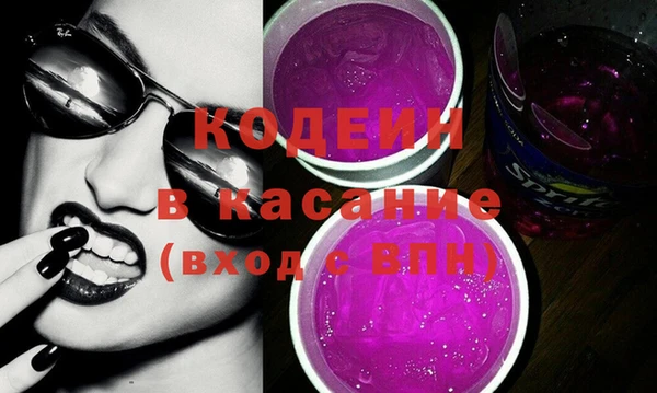 ГАЛЛЮЦИНОГЕННЫЕ ГРИБЫ Инсар