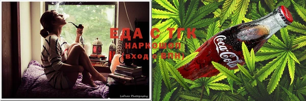 ГАЛЛЮЦИНОГЕННЫЕ ГРИБЫ Инсар