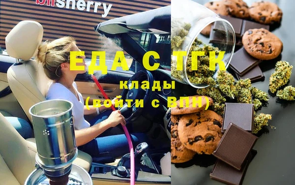 дживик Инта