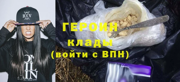 дживик Инта