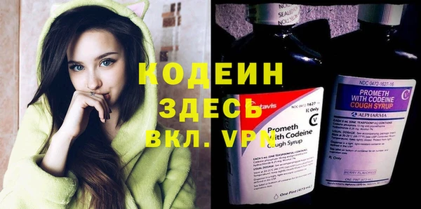 дживик Инта