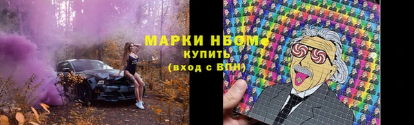 круглые Иннополис