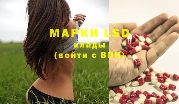 дживик Инта