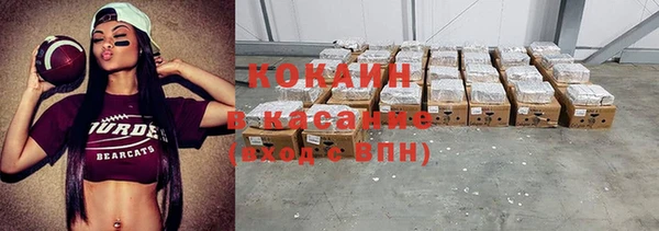 дживик Инта