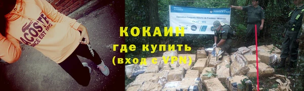 ГАЛЛЮЦИНОГЕННЫЕ ГРИБЫ Инсар