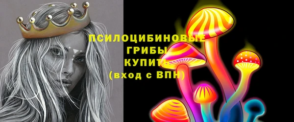 ГАЛЛЮЦИНОГЕННЫЕ ГРИБЫ Инсар