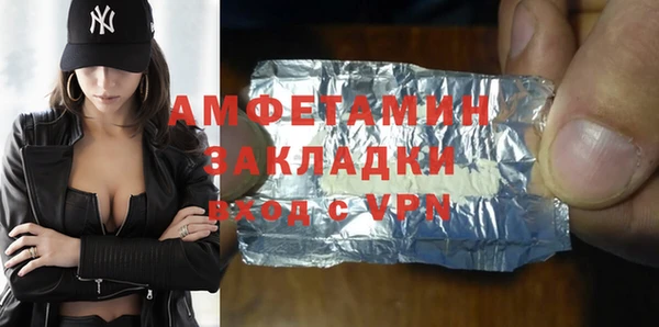 дживик Инта