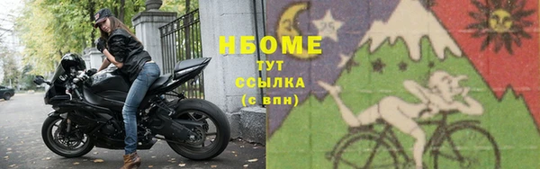 ГАЛЛЮЦИНОГЕННЫЕ ГРИБЫ Инсар