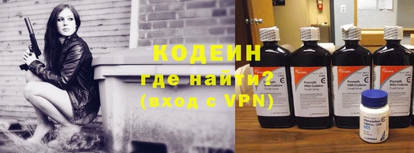дживик Инта