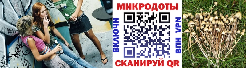 Псилоцибиновые грибы прущие грибы Зима