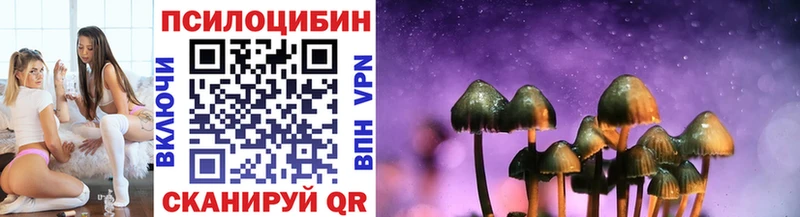 Купить где  Зима  Галлюциногенные грибы прущие грибы 
